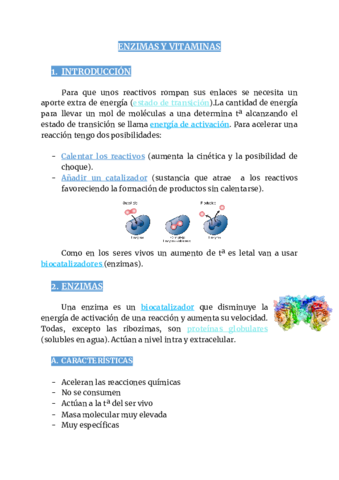 2oBACH-ENZIMAS-Y-VITAMINAS.pdf