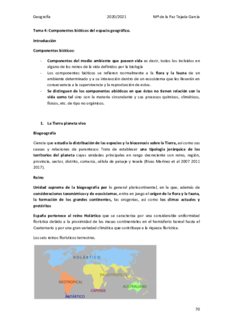 Tema-4-Lorenzo-Quesada.pdf