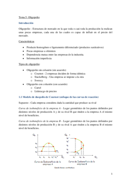 Tema 5.pdf