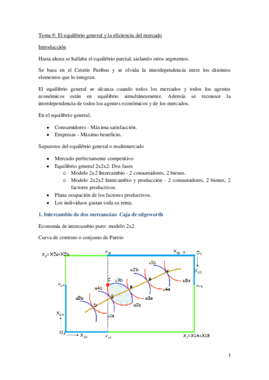 Tema 9.pdf