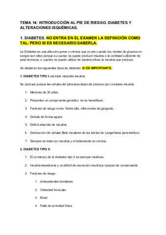 TEMA-14-INTRODUCCION-AL-PIE-DE-RIESGO.pdf