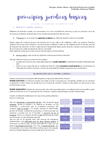 Principios-juridicos-basicos-t1.pdf