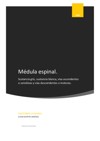 Medula-espinal.pdf