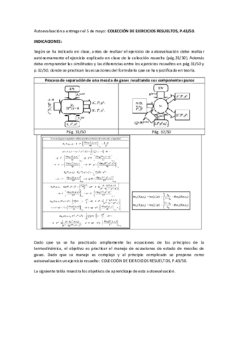 AEv-Entrega5mayo ENUNCIADO.pdf