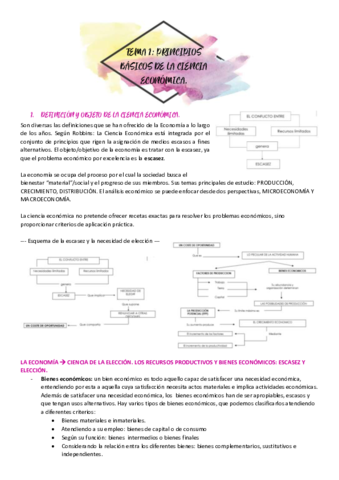 TEMA-1-apuntes.pdf