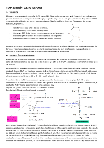 BIOSINTESIS-DE-TERPENOS.pdf