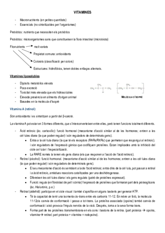 VITAMINES-apunts.pdf