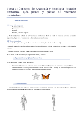 1 - Anatomía.pdf