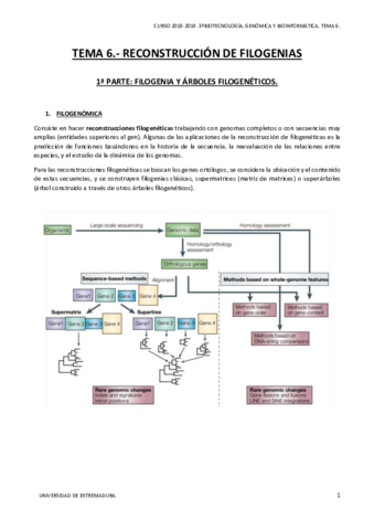 TEMA-6-1.pdf