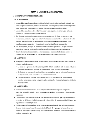 tema-5-LAS-MEDIDAS-CAUTELARES.pdf