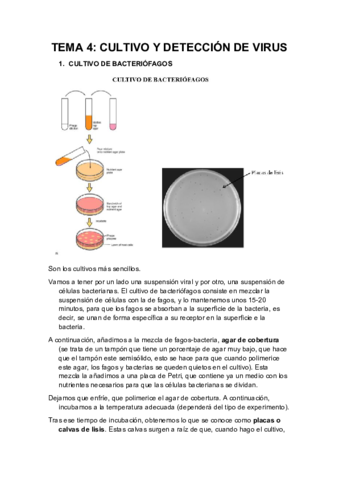 TEMA-4-1.pdf