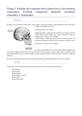 5 - Anatomía.pdf