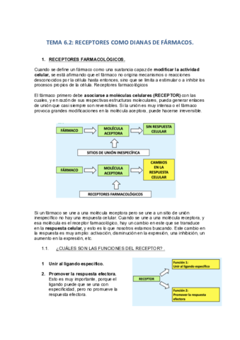 TEMA-6.pdf