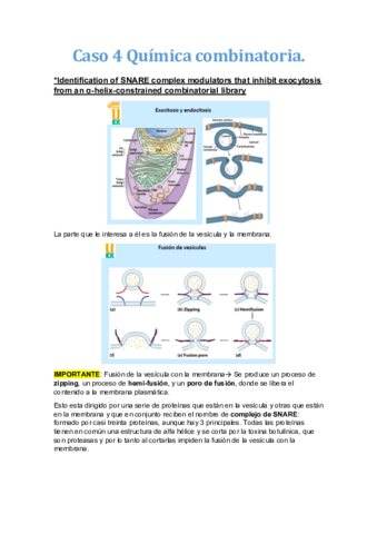 Caso-4-Quimica-combinatoria.pdf