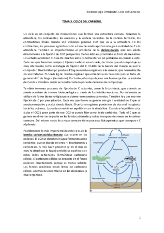 CICLOS-DEL-CARBONO.pdf