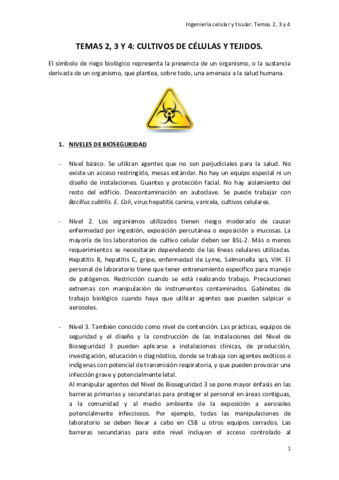 TEMA-2-3-Y-4.pdf