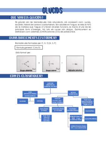 GLUCIDS.pdf