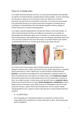 APUNTES-BIOLOGIA-T.pdf