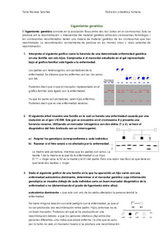 Seminari-4-tania.pdf