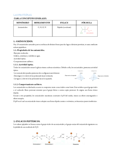 LAS-PROTEINAS-5.pdf