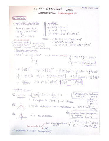 Deribagarritasuna.pdf