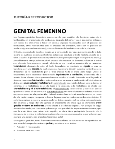 TUTORIA-REPRODUCTOR-.pdf