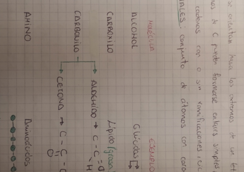 apuntes-bioquimica-1-bach.pdf