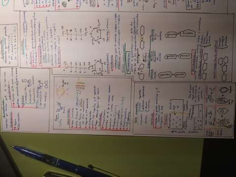 esquema resumen bioquímica parte 1.jpg