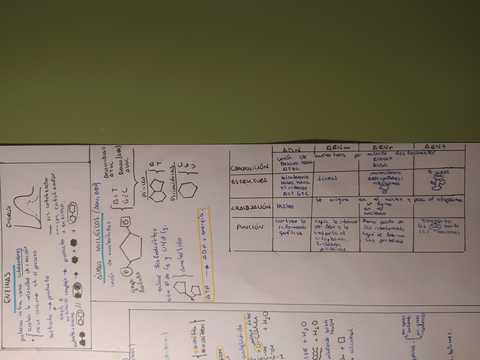 IMG20201115031105.jpg