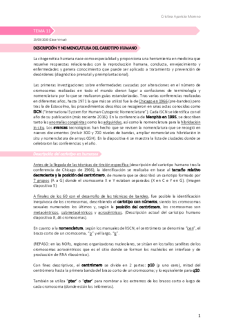 Tema-11-definitivo.pdf