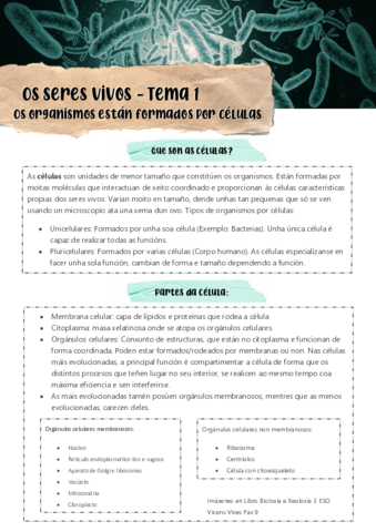 Tema-1-Apartado-2.pdf