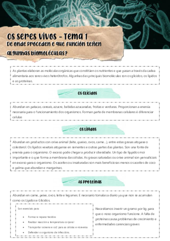 Tema-1-Apartado-1.pdf