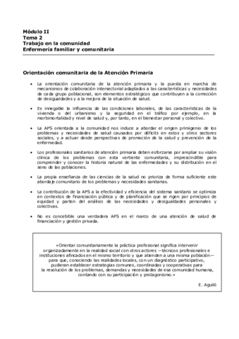 TEMA-2.pdf