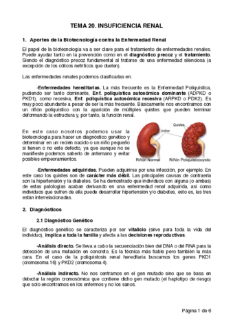 Tema-20.pdf