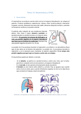 Tema-19-Neumotorax-y-EPOC.pdf