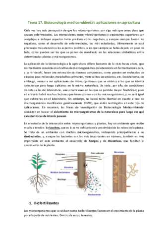 Tema-17.pdf