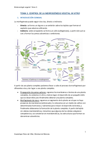 TEMA-3-BIOTECNOLOGIA-VEGETAL.pdf