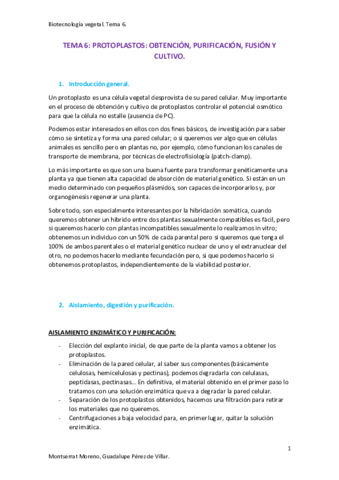 TEMA-6-BIOTECNOLOGIA-VEGETAL.pdf