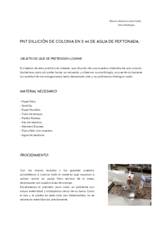 PNT-1-Blanca-Lores.pdf