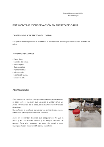 PNT-2-Blanca-Lores.pdf