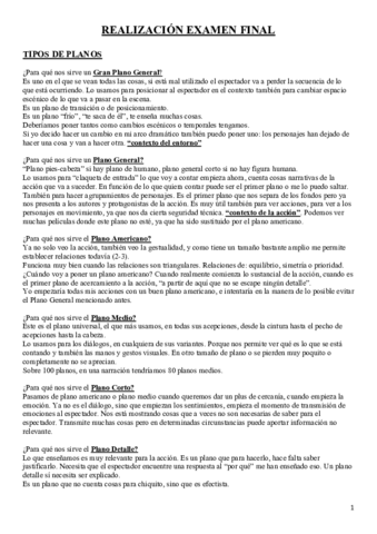 EXAMEN-FINAL-REALIZACION.pdf