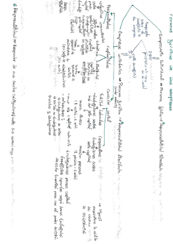 Tipos-de-empresas.pdf