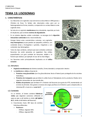 TEMA-13-1.pdf