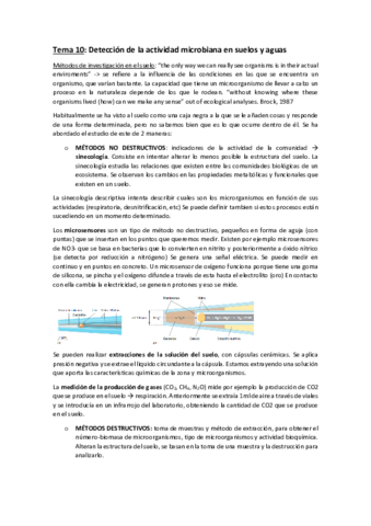 Tema-10-.pdf