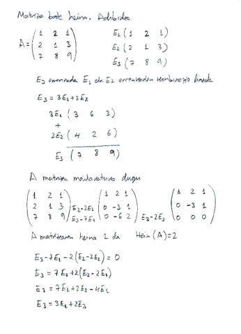 Matrize-baten-heinaAdibidea.pdf