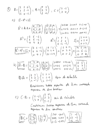 Birpasa-fitxa-ebatzia-.pdf