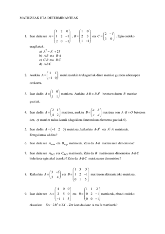 Birpasa-fitxa.pdf