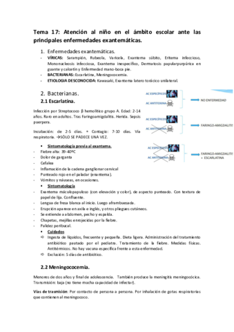 Tema-17.pdf