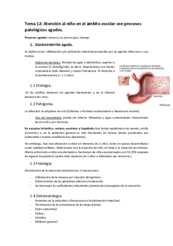 Tema-12.pdf