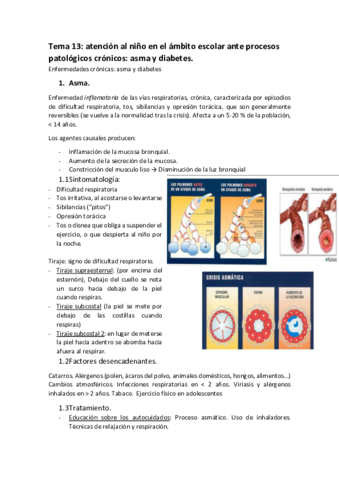 TEMA-13.pdf